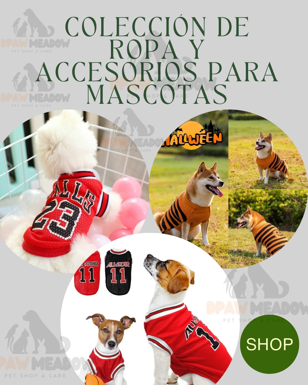 Colección de ropa y accesorios para mascotas