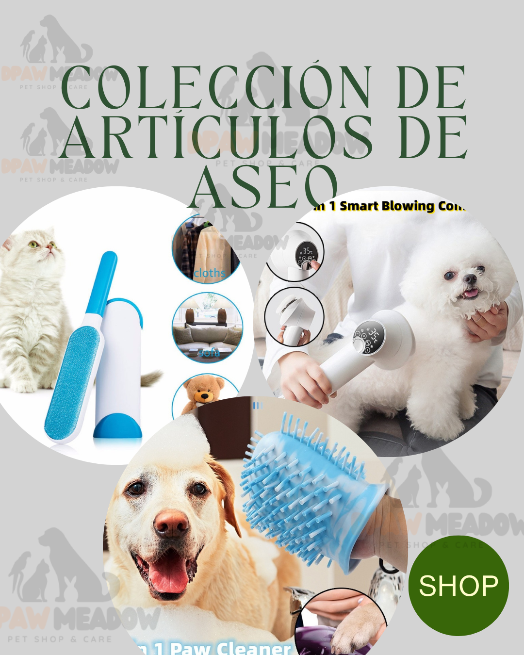 Colección de artículos de aseo